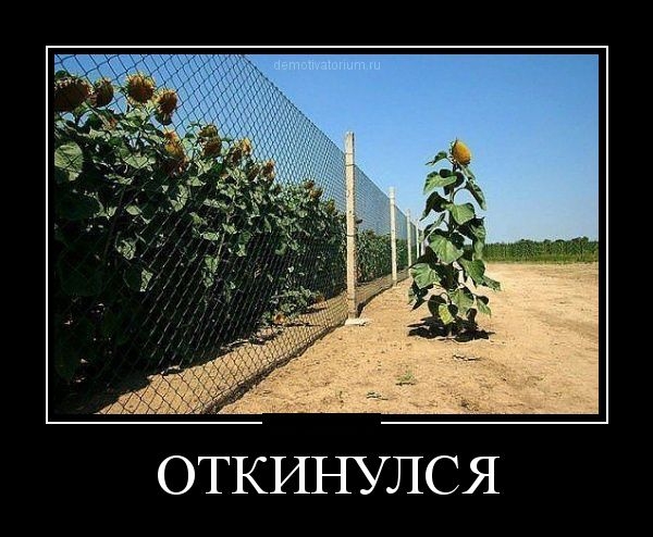 ОТКИНУЛСЯ