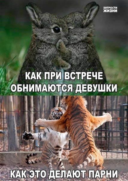 КАК пгдвстрвчв овниммотся девушки