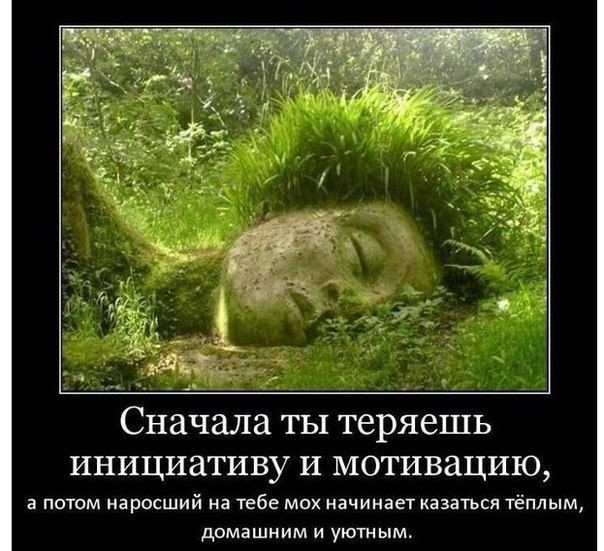 Сначала ты теряешь инициативу и мотивацию а потом на росший на тебе мох начинает казаться тёплым домашним и уютн ым