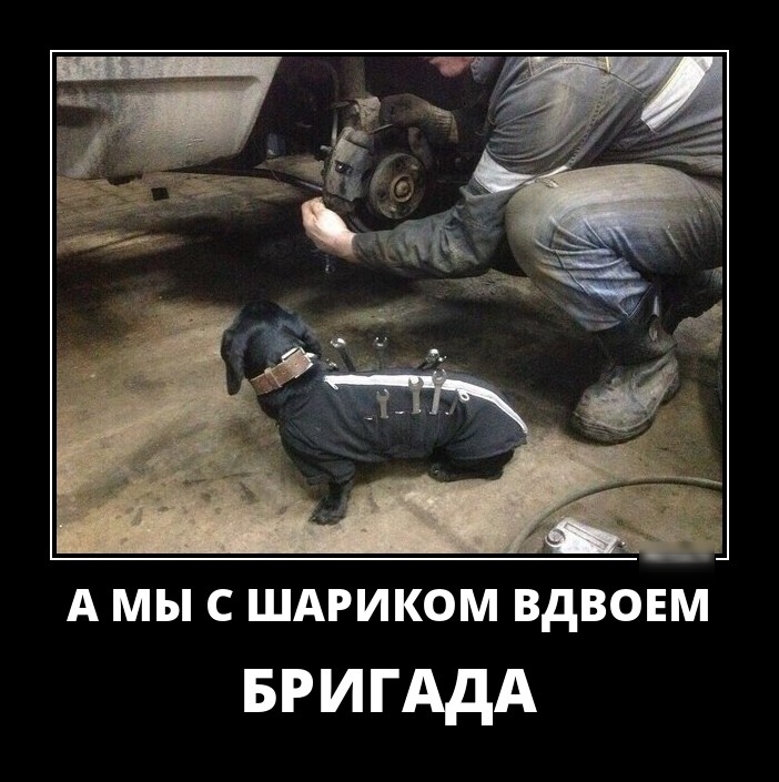 А МЫ С ШАРИКОМ ВдВОЕМ БРИГАДА