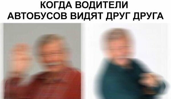 КОГДА ВОДИТЕЛИ АВТОБУСОВ ВИДЯТ ДРУГ ДРУГА