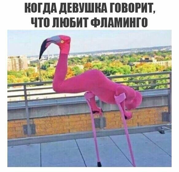МДА дЕВУШНд ППЮРИТ ЧП ЛЮБИТ ФПАМИНП