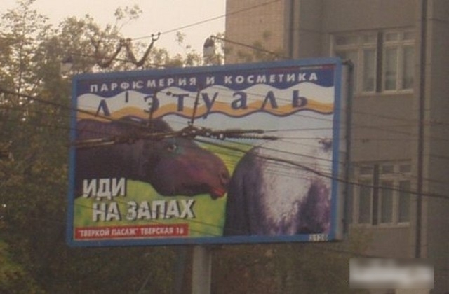 сипи и касмникд О