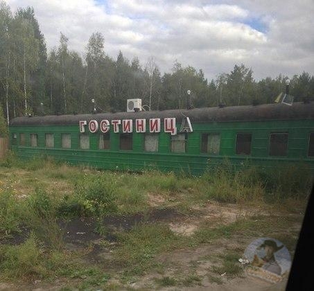 _ Ш тшшщ