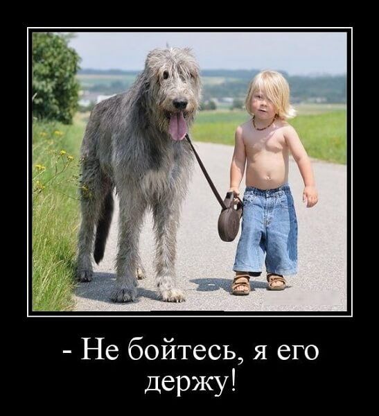 Не бойтесь я его держу