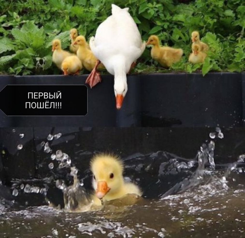 ПЕРЕ_3_ЫЙ ПОШЕЛ