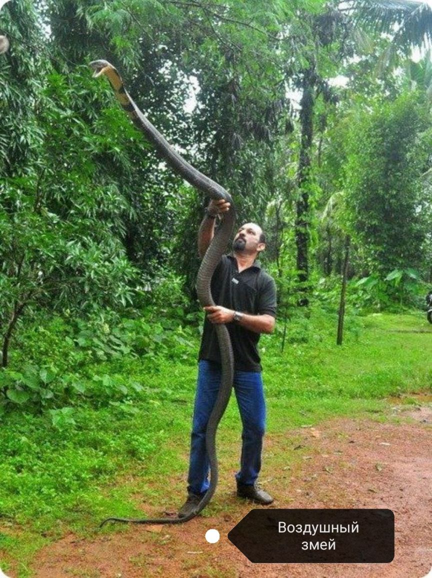 Воздушный змей