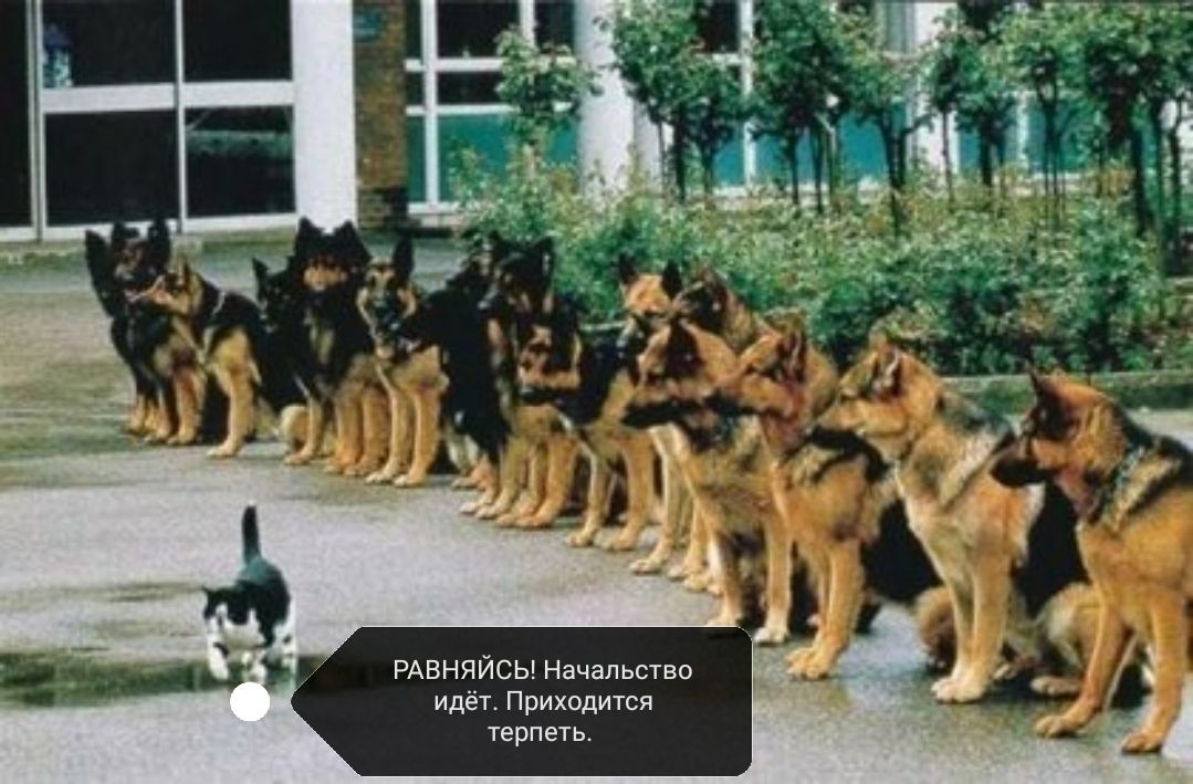О В Т СЯ ьт МИ чд ат и В СП Ит Яце Нд ВИ