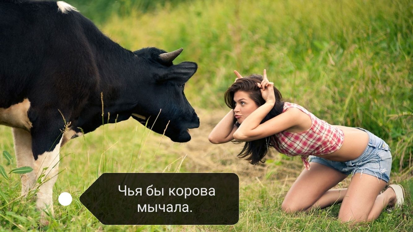 Чья бы корова мычала