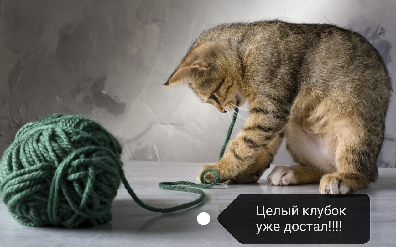 Целый клубок уже достал