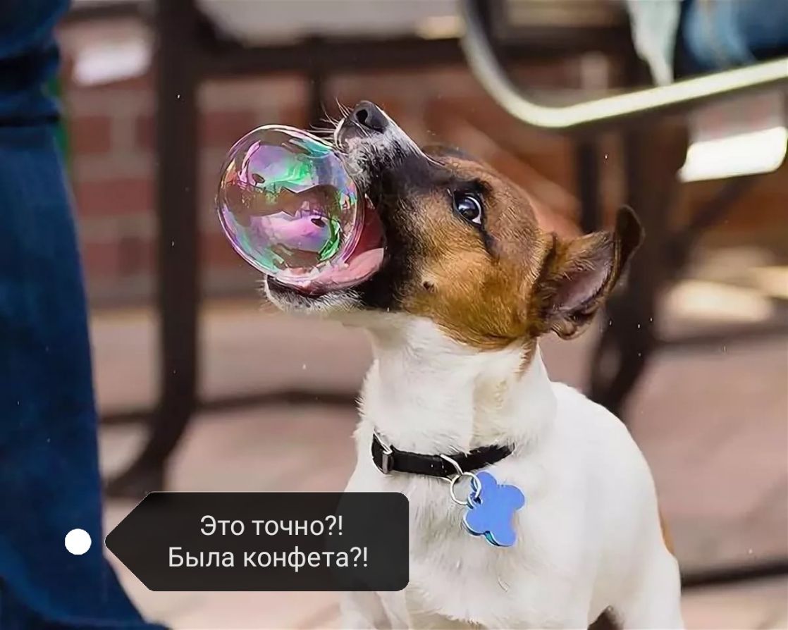 Это точно Была конфета