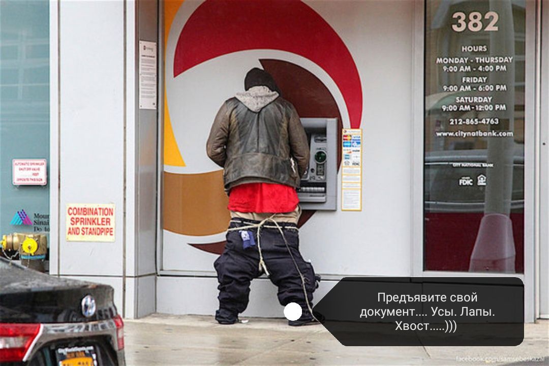 382 мои моим тиви тош дла шоп 1405415 пытатьписи Предъявите свой документ Усы Лапы Хвост