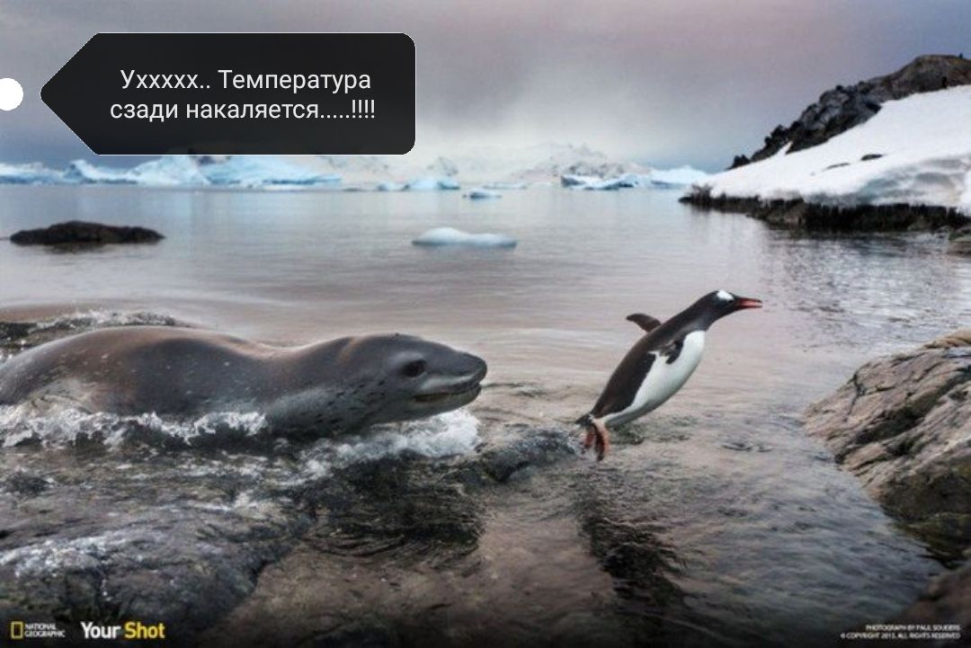 Уххххх Температура сзади накаляется