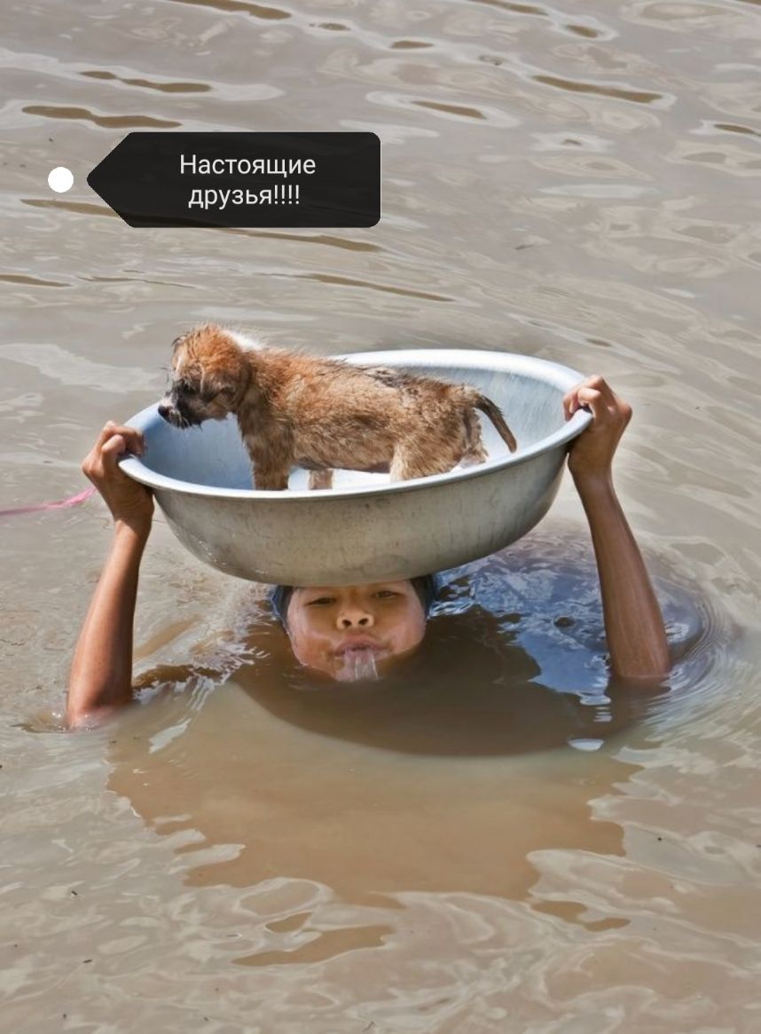 Настоящие друзья