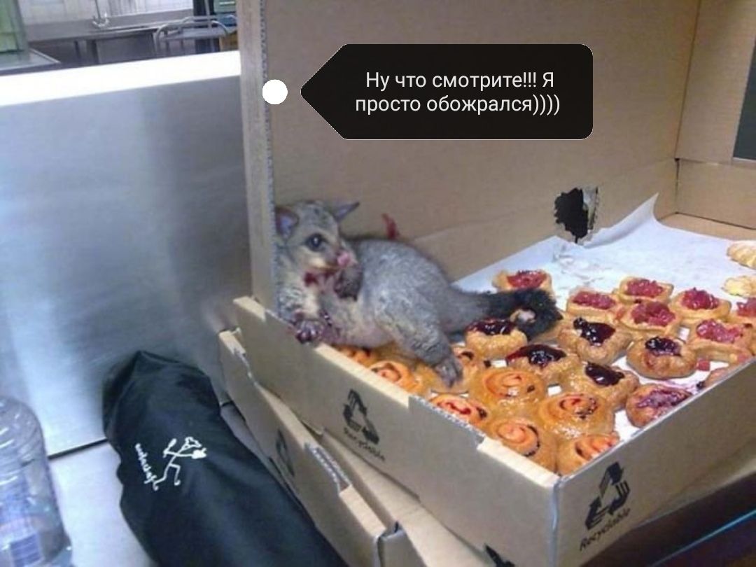 Ну что смотрите Я просто обожрапся