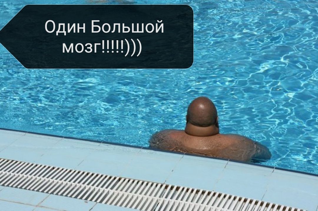 Один Большой мозг
