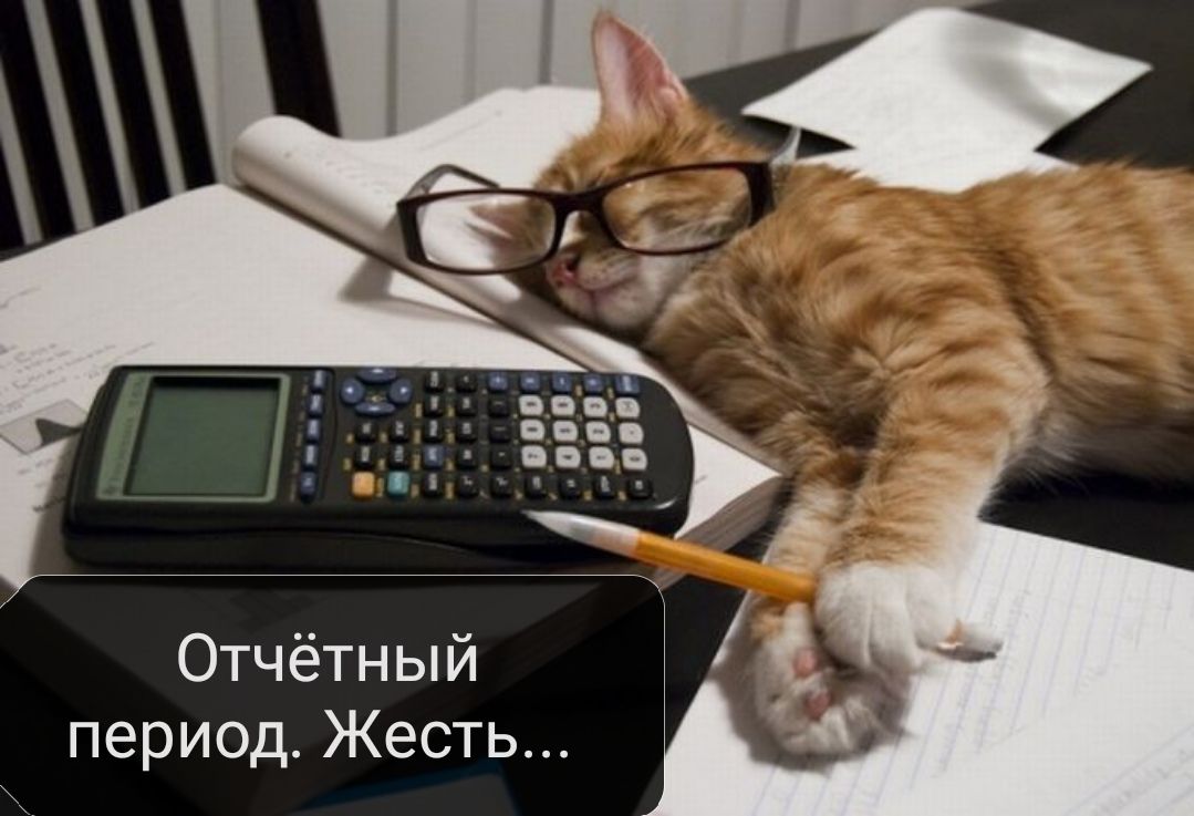 Отчётный период Жесть