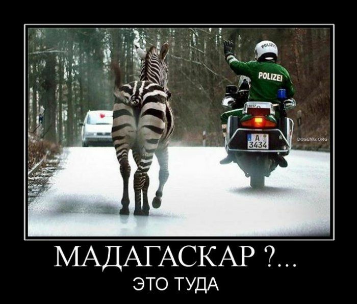 МАДАГАСКАР ЭТО ТУДА