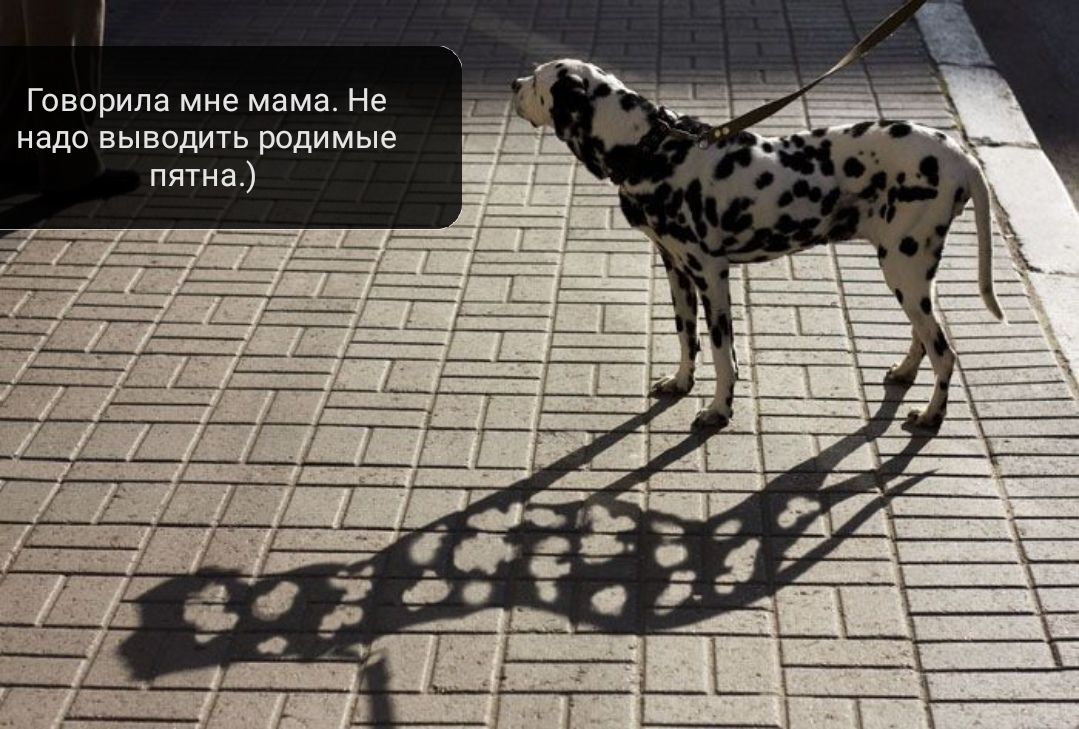 Говорила мне мама Не надо выводить родимые