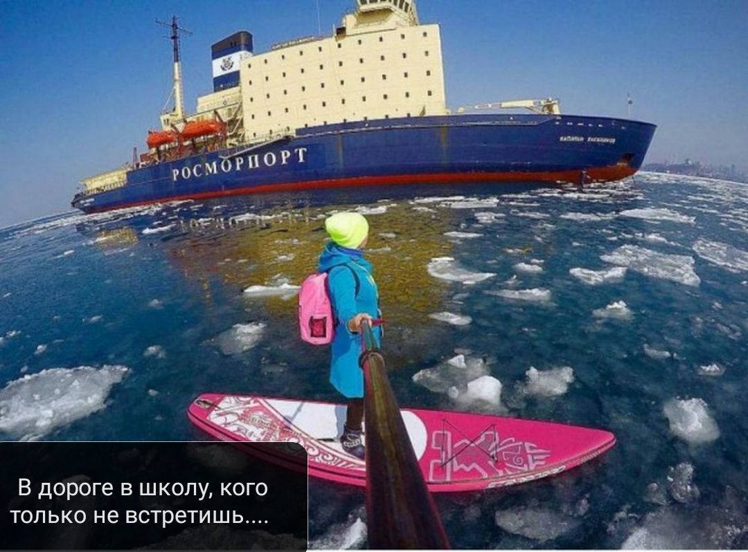 В дороге в школу кого только не встретишь