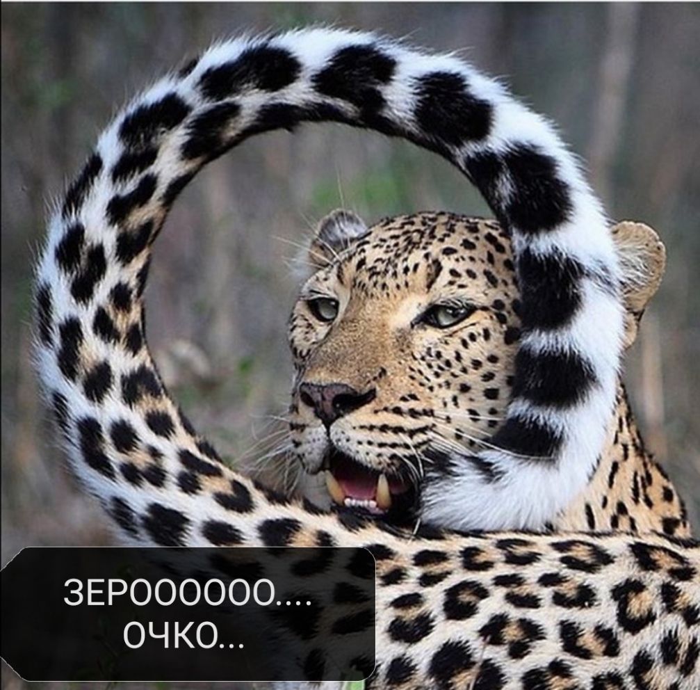 ЗЕРОООООО ОЧ КО
