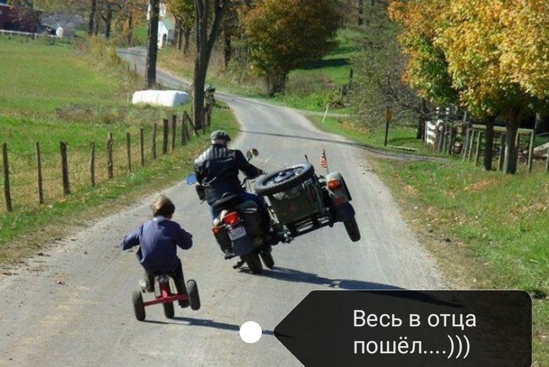 Весь в отца пошёл