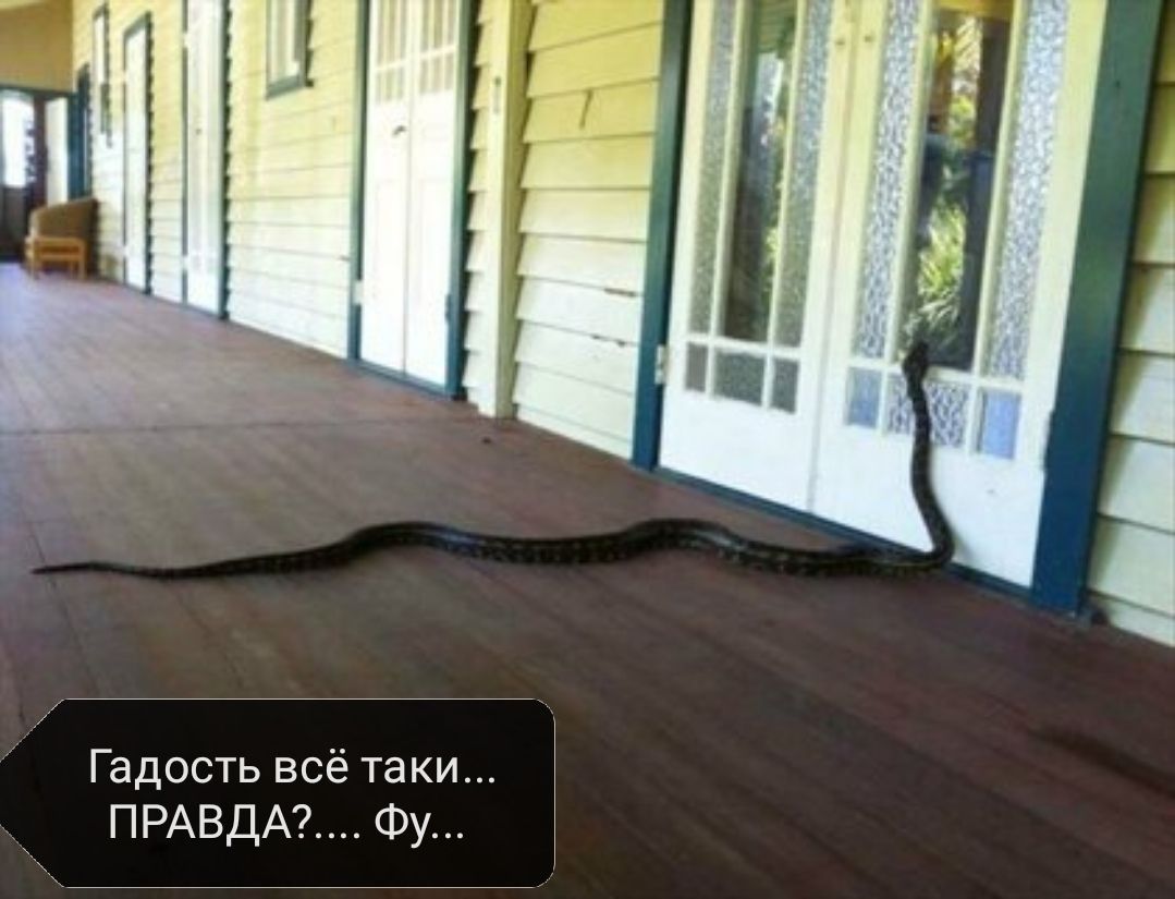 Гадость всё таки ПРАВДАФу