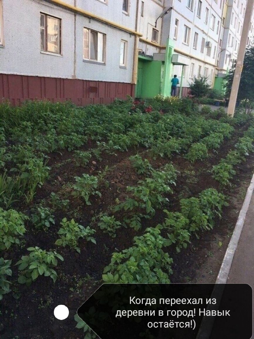 Когда переехал из _ деревни в город Навык остаётся