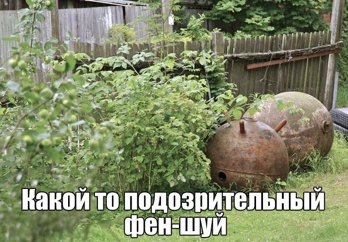 51 даний то под