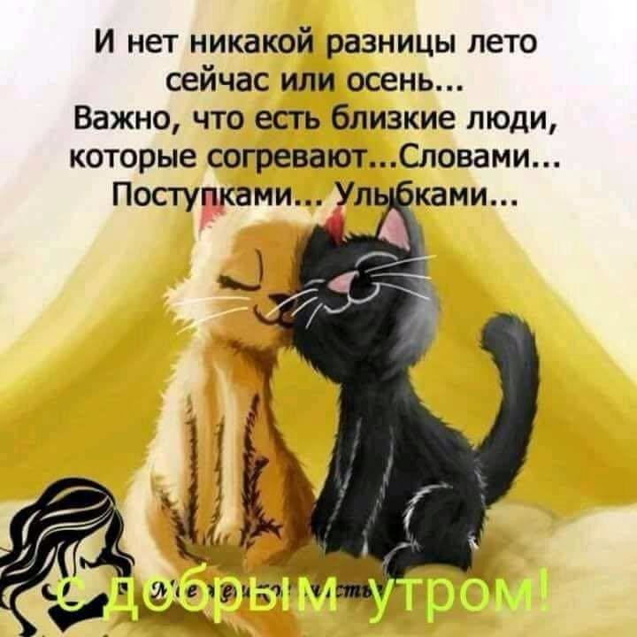 и нет никакой разницы лето сейчас или осень Важно что есть близкие люди которые согреваютСловами