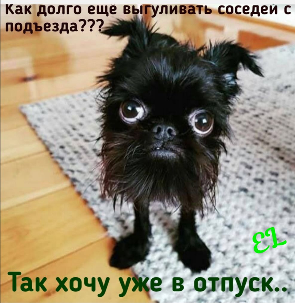 как долго еще выгуливать соседеи с подъезда Так хочу ухе в опус К