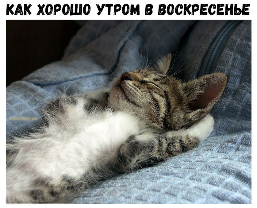 КАК ХОРОШО УТРОМ В ВОСКРЕСЕНЬЕ