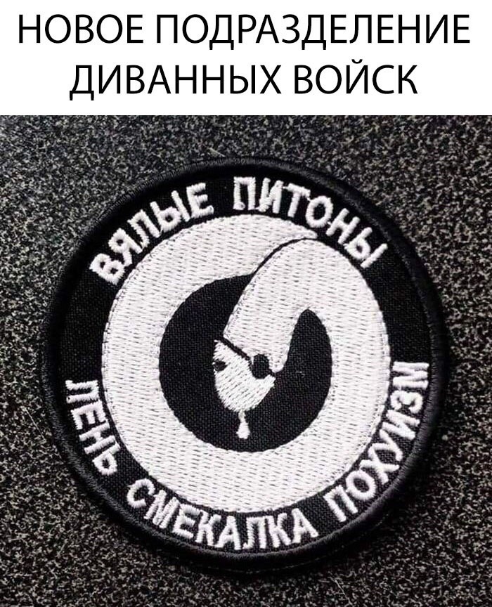 НОВОЕ ПОДРАЗДЕЛЕНИЕ ДИВАННЫХ ВОЙСК