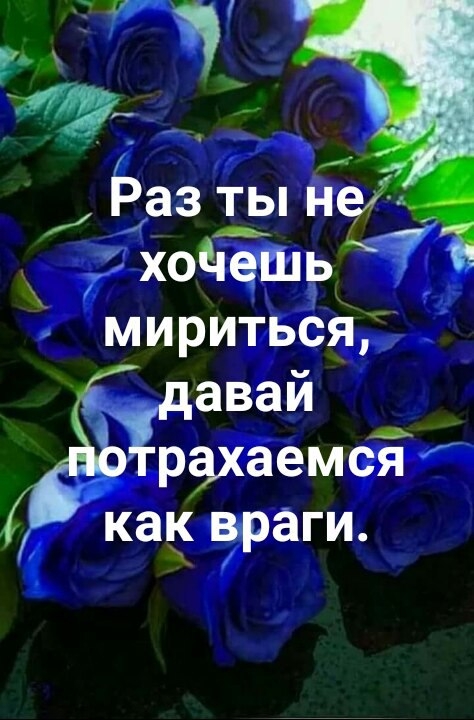 У Ёаз Цап н хоЧешь1 мириться давай руаемсі как враги