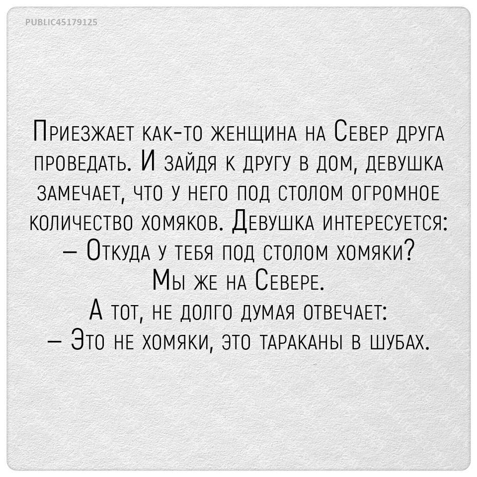 ПРИЕЗЖАЕТ КАКТО ЖЕНЩИНА НА СЕВЕР ДРУГА ПРОВЕДАТЬ И ЗАЙДЯ К другу В дом  ДЕВУШКА 3АМЕЧАЕТ ЧТО у НЕТО под СТОЛОМ ОГРОМНОЕ КОЛИЧЕСТВО ХОМЯКОВ ДЕВУШКА  ИНТЕРЕСУЕТСЯ ОТКУДА у ТЕБЯ ПОД СТОЛОМ ХОМЯКи Мы