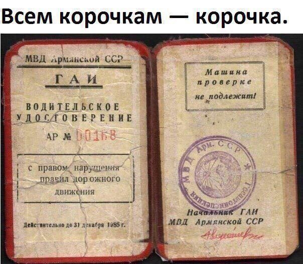 Всем корочкам корочка МВД Арммшшй ССП _ щ М линии г А и Г 5 п_подмждті водиіідвсков АММинкин АРЭЕ правам нардцу ння _лракшл дорожного движении лм вг ип1 Аллшпага сер 44 мг