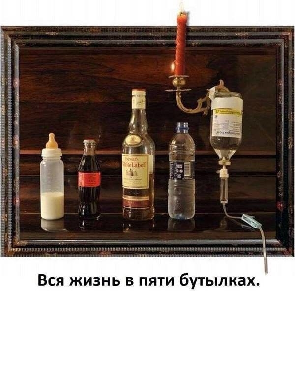 Вся жизнь в пяти бутылках