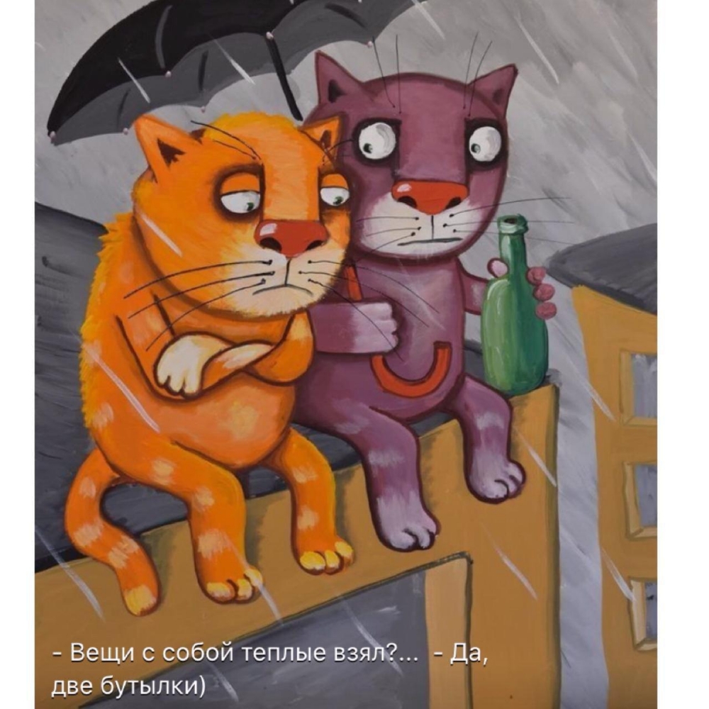 Вещи с собой теплые взял Да две бутылки