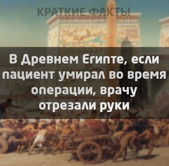 кип тс _ В древнем Египте еспи пациент умирап во время операции врачу отрезали руки _ЪРЧ П _ е_