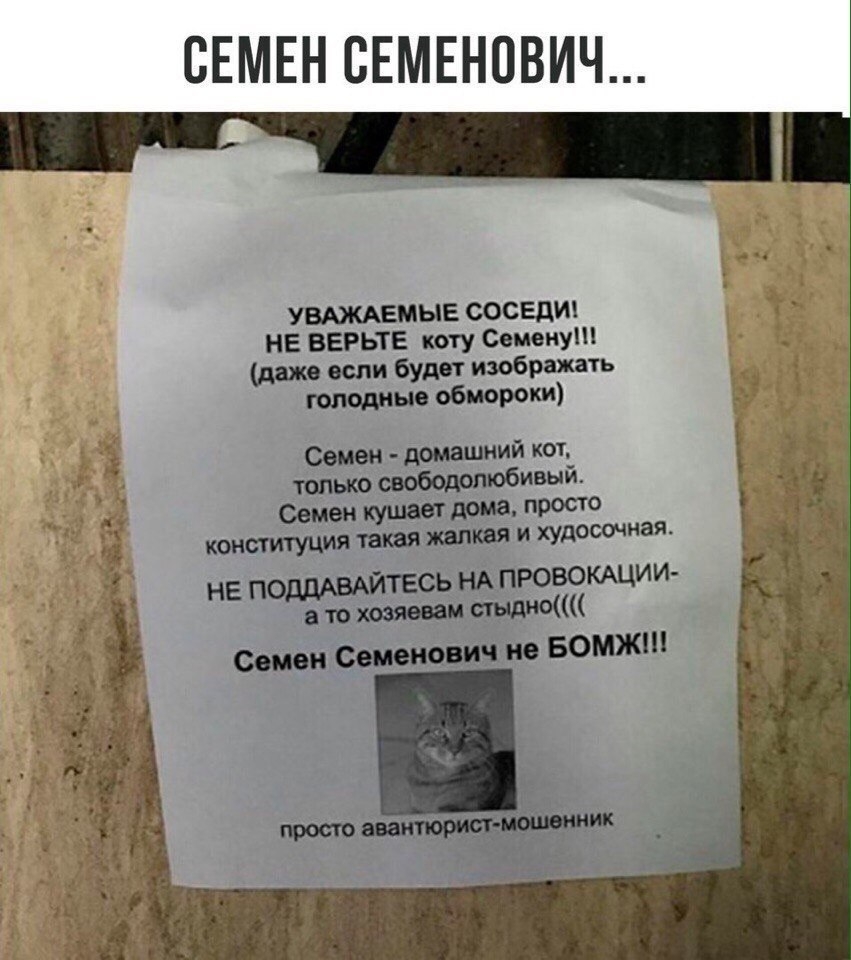СЕМЕН ВЕМЕНОВИЧ УВАЖАЕМЫЕ СОСЕДИ НЕ ВЕРЬТЕ коту Семену даже если будет изображать тюдиыв обмороки Семен домашний кот топько свободолюбивый Семен кушает дома 0 конституция татя жяпюая и худооочиая НЕ ПоддАВАЙТЕСЬ НА ПРОВОКАЦии то хозяевам Семен Семенович ио Бомж