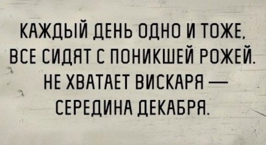 КАЖДЫЙ ДЕНЬ одно и ТОЖЕ _всв сидят с ппникшвй РОЖЕЙ НЕ ХВАТАЕТ ВИСКАРЯ СЕРЕДИНА ДЕКАБРЯ