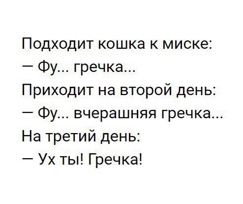 Подходит кошка к миске Фу гречка Приходит на второй день Фу вчерашняя гречка На третий день Ух ты Гречка