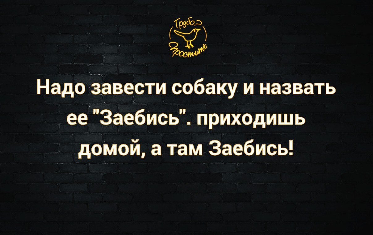 233 Надо завести собаку и назвать ее Заебись приходишь доМой а там Заебись