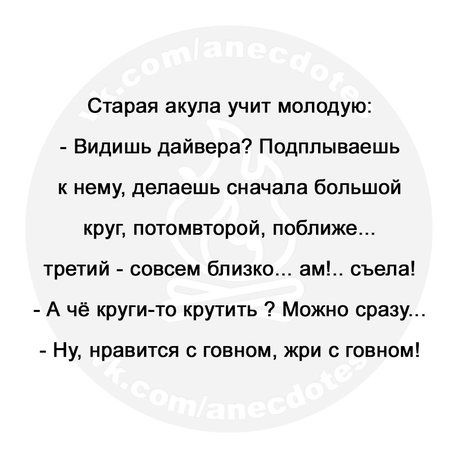 Старая акула учит молодую Видишь дайвера Подппываешь к нему делаешь сначала  большой круг потомвторой поближе третий совсем близко ам съела А чё круги  то крутить Можно сразу НУ нравится С ГОВНОМ жри