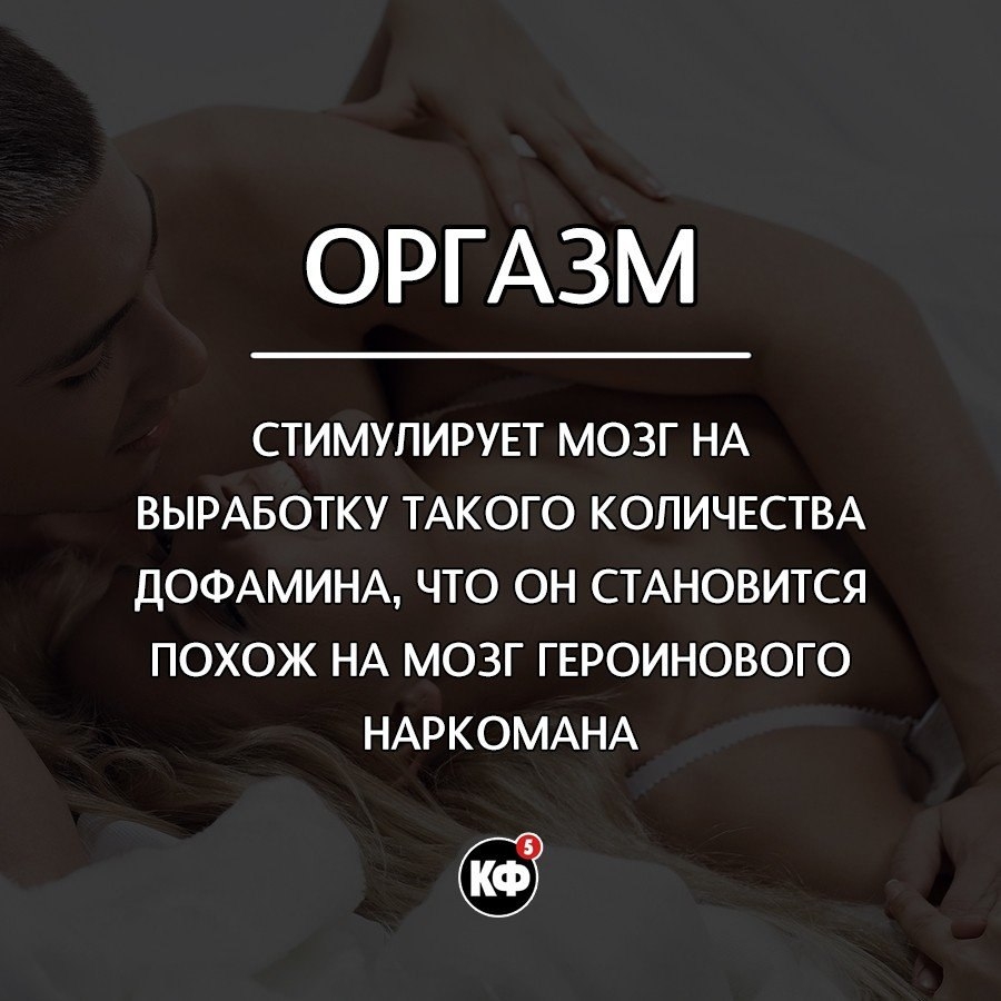 ОРГАЗМ СТИМУЛИРУЕТ МОЗГ НА ВЫРАБОТКУ ТАКОГО КОЛИЧЕСТВА ДОФАМИНА ЧТО ОН СТАНОВИТСЯ ПОХОЖ НА МОЗГ ГЕРОИНОВОГО НАРКОМАНА