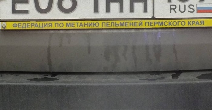 ФЕДЕРАЦИЯ ПО МЕТА Ю ПЕПЬМЕНЕЙ ПЕРМСКОГО КРАЯ