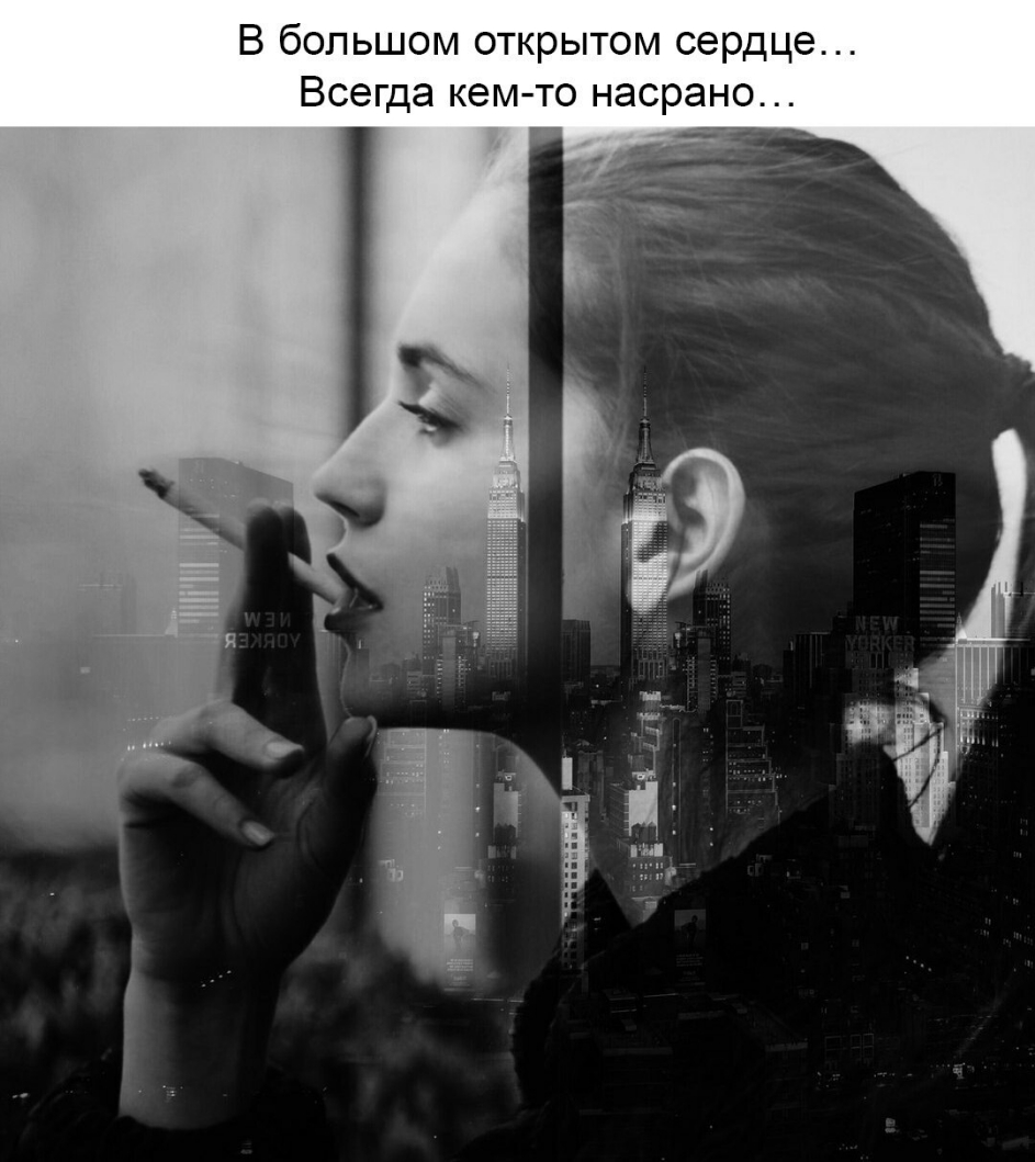 В большом открытом сердце Всегда кем то насрано