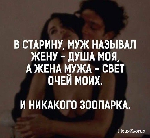 В СТАРИНУ МУЖ НАЗЫВАЛ ЖЕНУ дУША МОЯ А ЖЕНА МУЖА СВЕТ ОЧЕИ МОИХ И НИКАКОГО ЗООПАРКА Псцхёёшгия