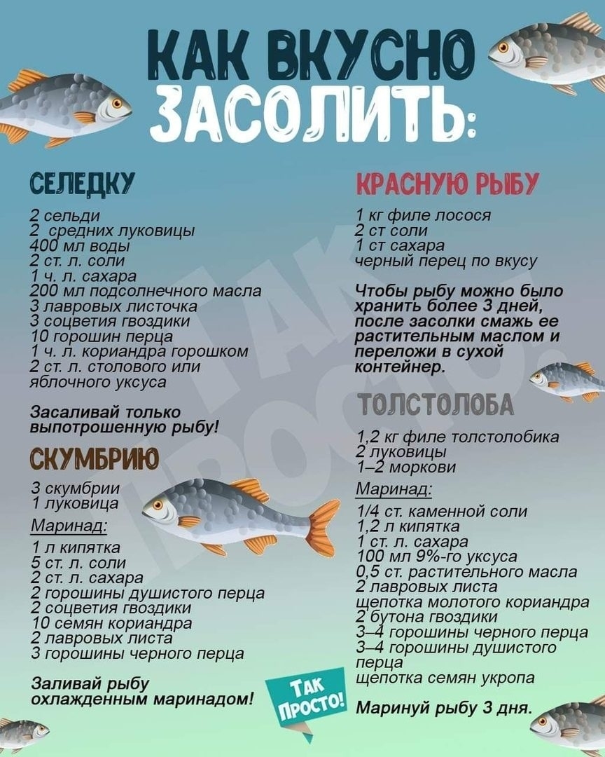 СЕЛЕДКУ 2 сельди 2 едних луковицы 40 мл воды 2 ст л соли 1 ч л сахара 200 мл подсолнечного масла 3 лавровых листочка 3 соцветия гвоздики 10 горошин перца 1 ч л кориандра горошком 2 ст л столового или яблочного уксуса Засаливай только выпотрошенную рыбу СКУМБРИО Зскумбрии 1луковица _ Маринё 1 л кипятка 5 ст л соли 2 ст л сахара 2 горошины душистого перца 2 соцветия гвоздики 10 семян кориандра 2 лав