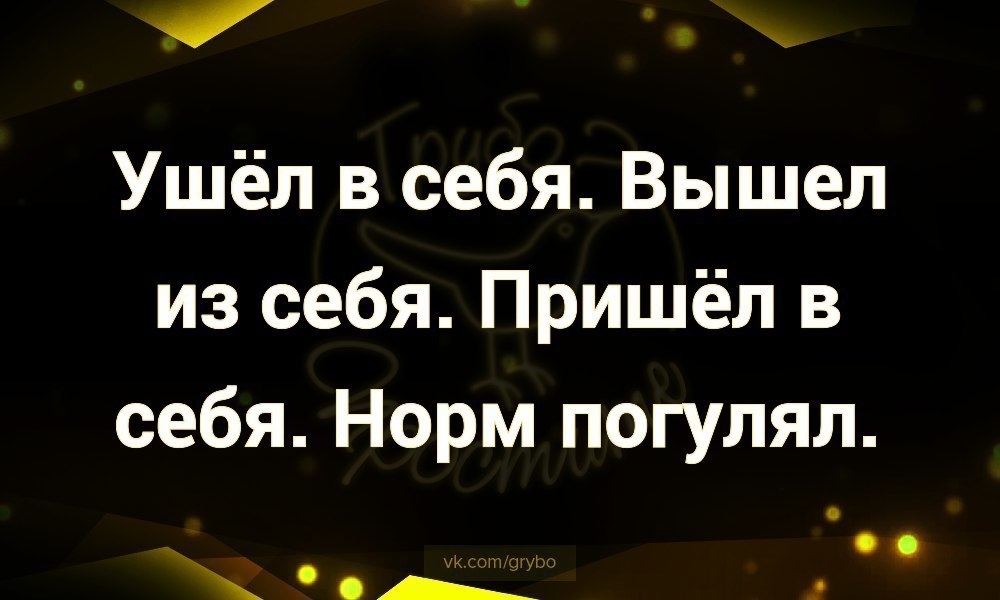 Ушёл в себя Вышел из себя Пришёл в себя Норм погулял у их _